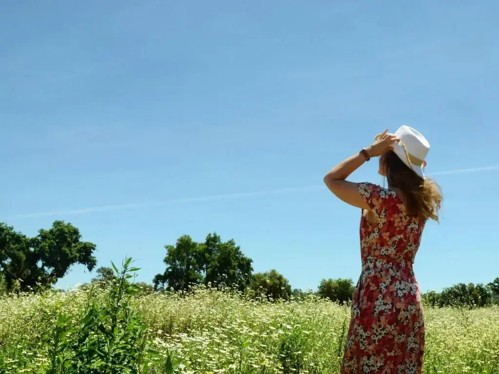 Quinta da Saudade