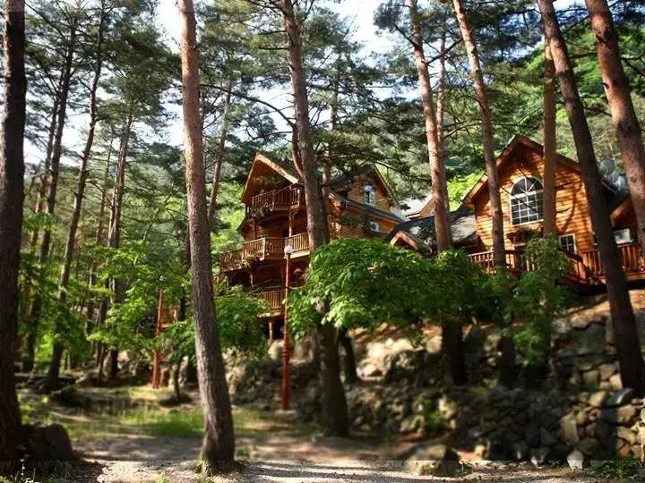 Mongvizu Pension