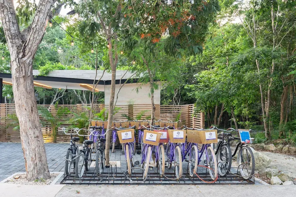Casa de Sueños 1BR Jungle Oasis - Attha Cenote