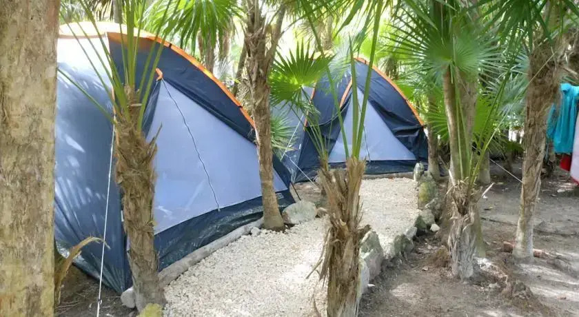 Turquesa Tulum Jungle Camping