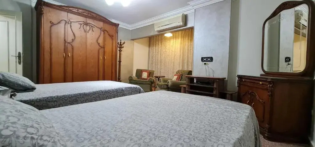 Comfy 2 Bedrooms Apartment in Cairo 98-4