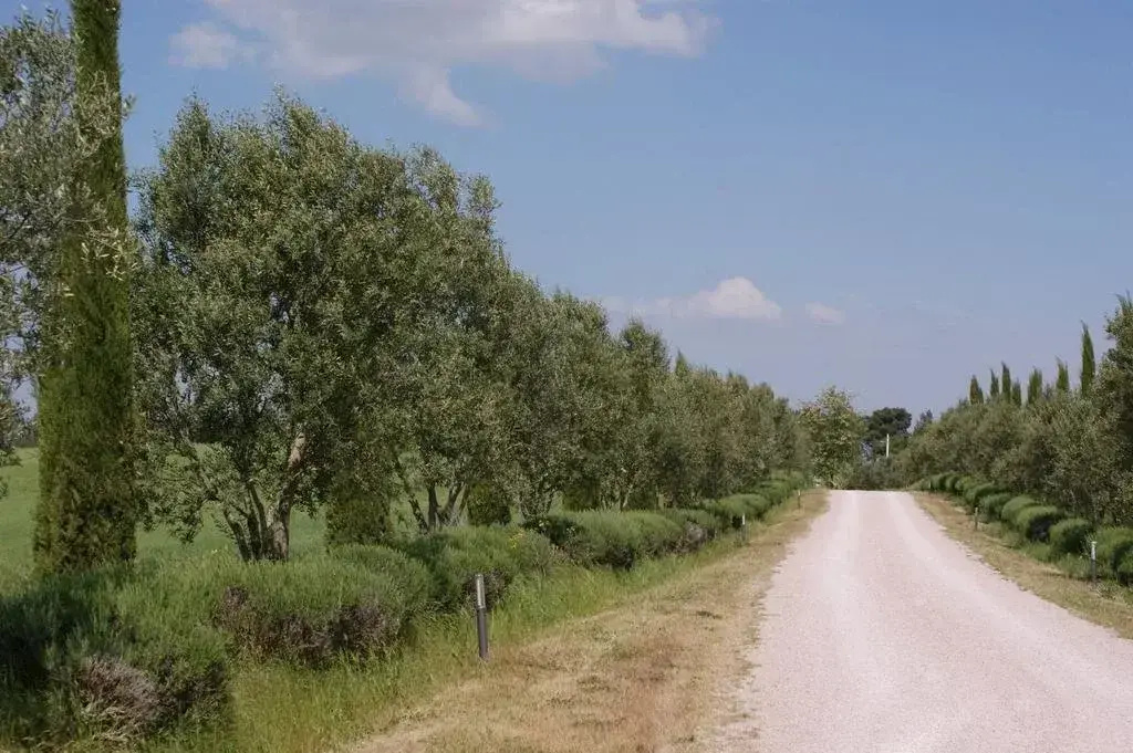 Tenuta Il Casone