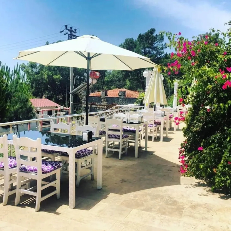 Silver Pine Hotel