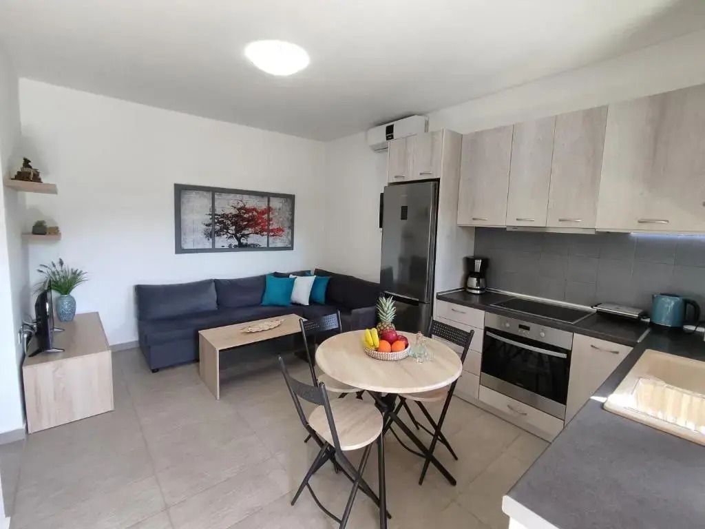 Psaromoura Apartment 2