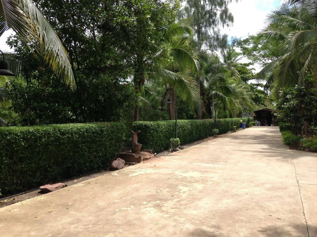 Young Coconut Garden Home Resort