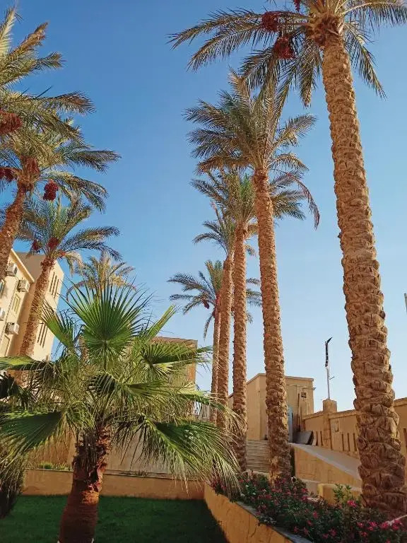 2 bedroom apartment in Nabq