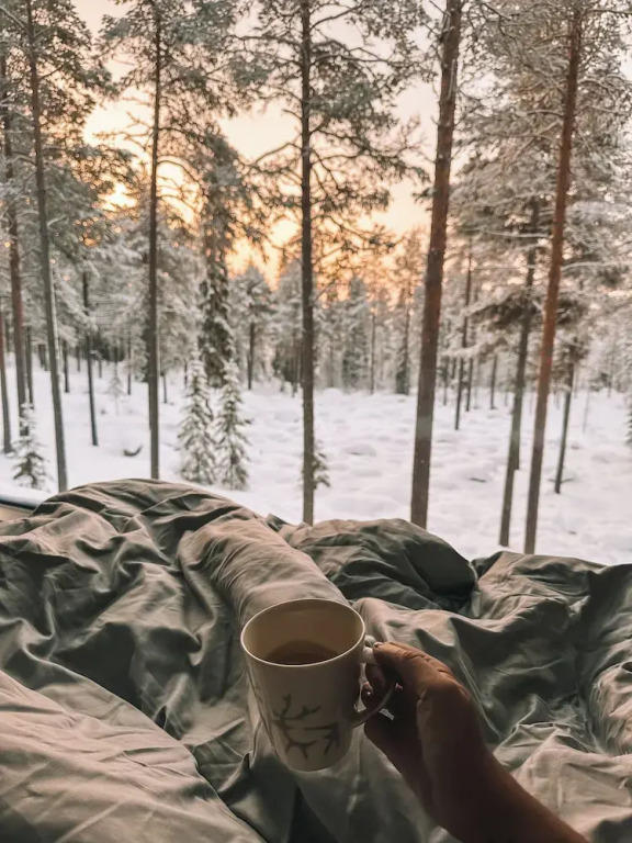 Invisible Forest Lodge