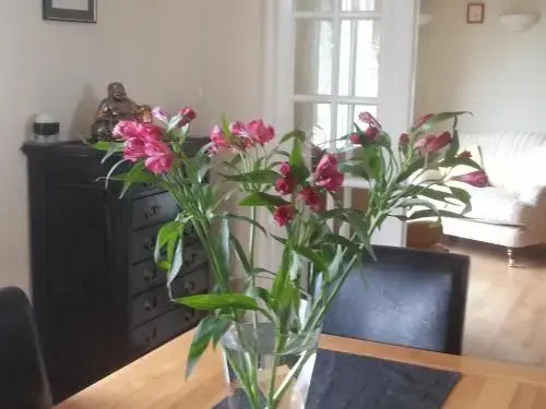 Rescorla Farm House B&B