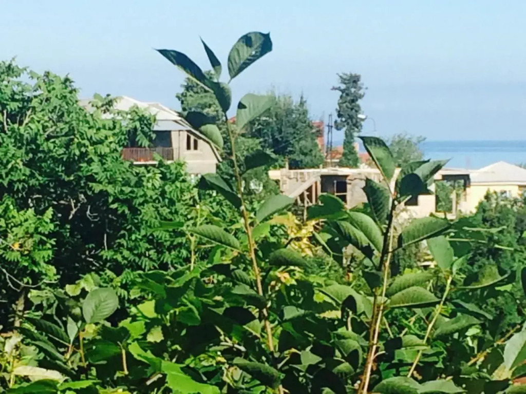 Villa la familia