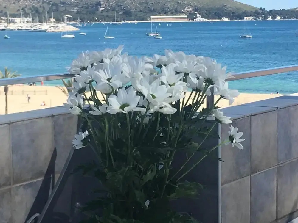 Apartment With 2 Bedrooms in Puerto de Pollença, With Wonderful sea View, Terrace and Wifi Near the Beach