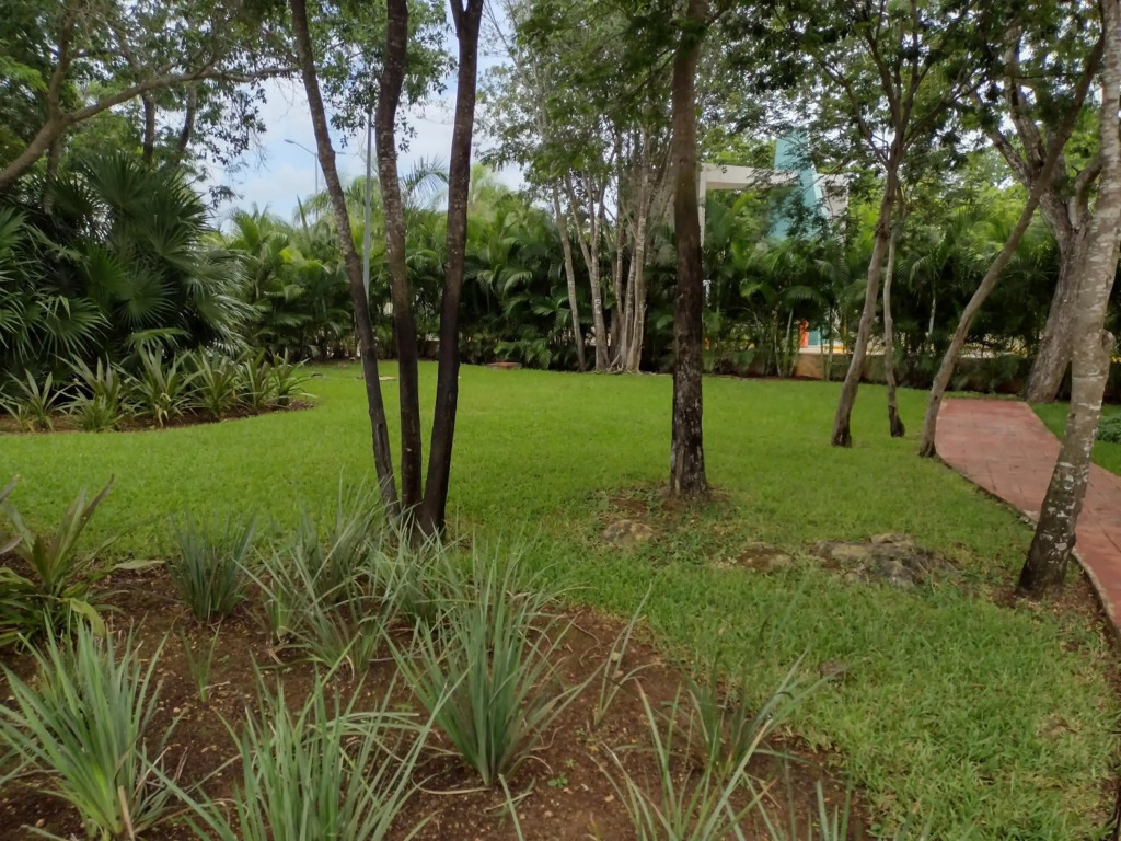 Casa nueva en Olivos 3, excelente ubicación