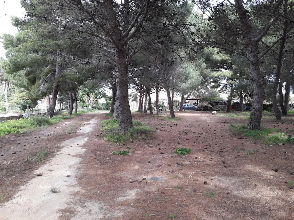 B&B Villa Calipso