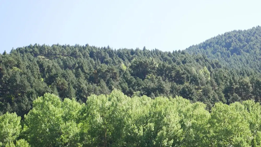 Vitivola Comapedrosa Canillo