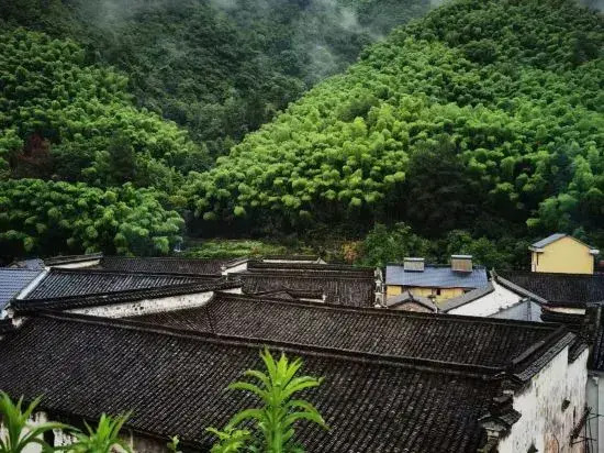 Three snalls(桐庐三只蜗牛民宿)