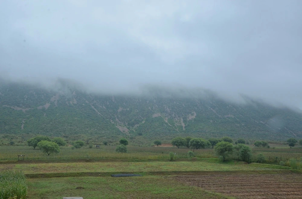 The Tiger Hill Sariska Resort