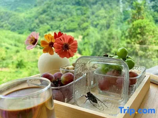 Yunqi Yougu Private Tang Homestay Ya'an Bifengxia Branch