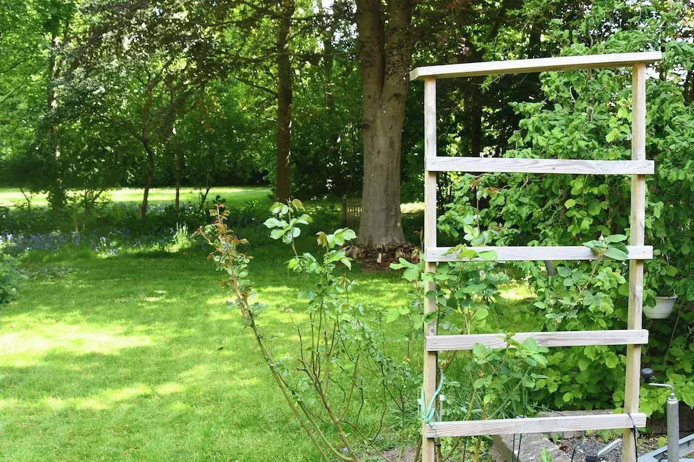 Lovely Town Apartment - Sleeps 5, Parking & Garden