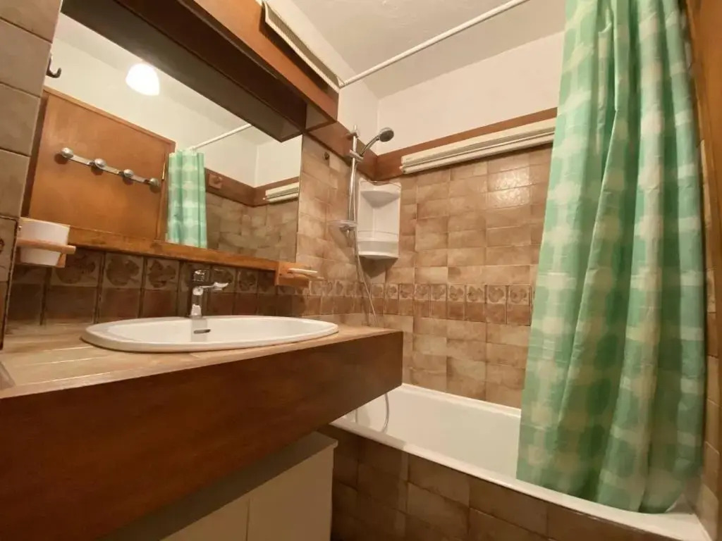 Appartement Praz-sur-Arly, 1 pièce, 4 personnes - FR-1-603-11