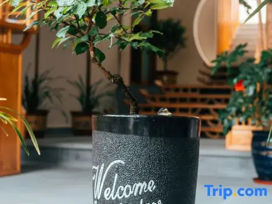Yiyuan Youju Boutique Holiday Inn (Heshun Ancient Town Branch), Tengchong