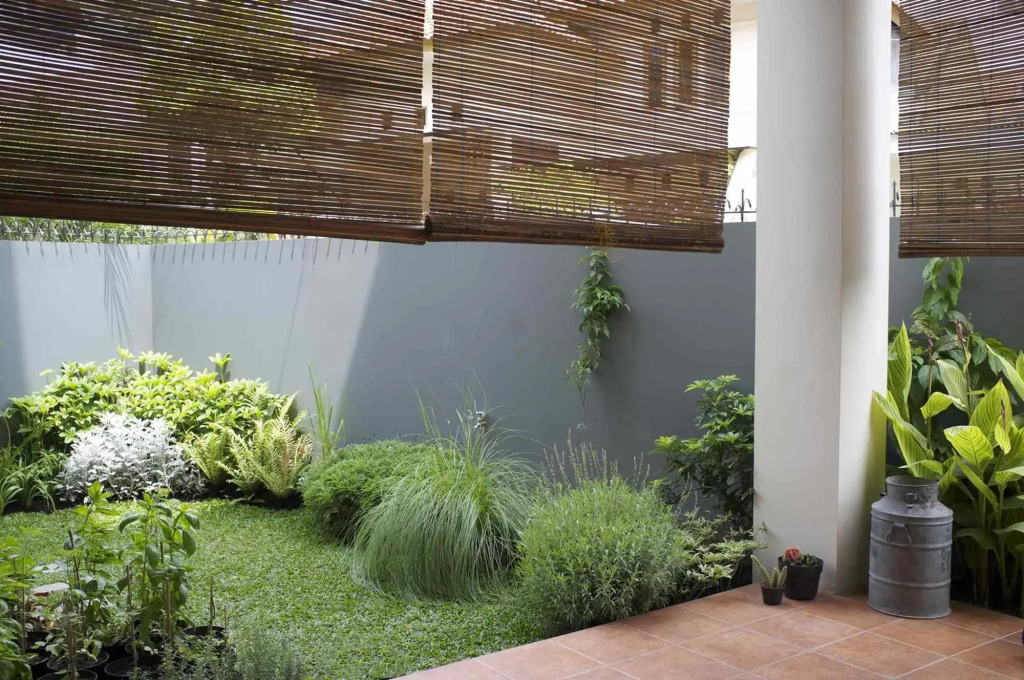 Cottonwood Bed & Breakfast House Bandung