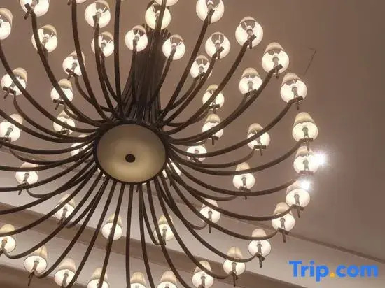 Venus International Hotel (Bozhou Wanda Plaza)