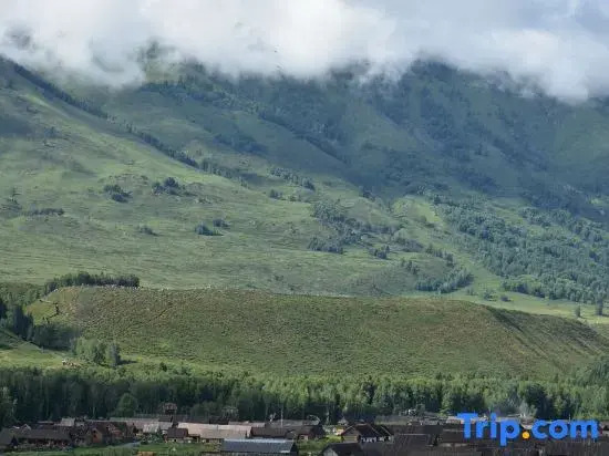 Hemu Youyuan Chalet Forest B&B