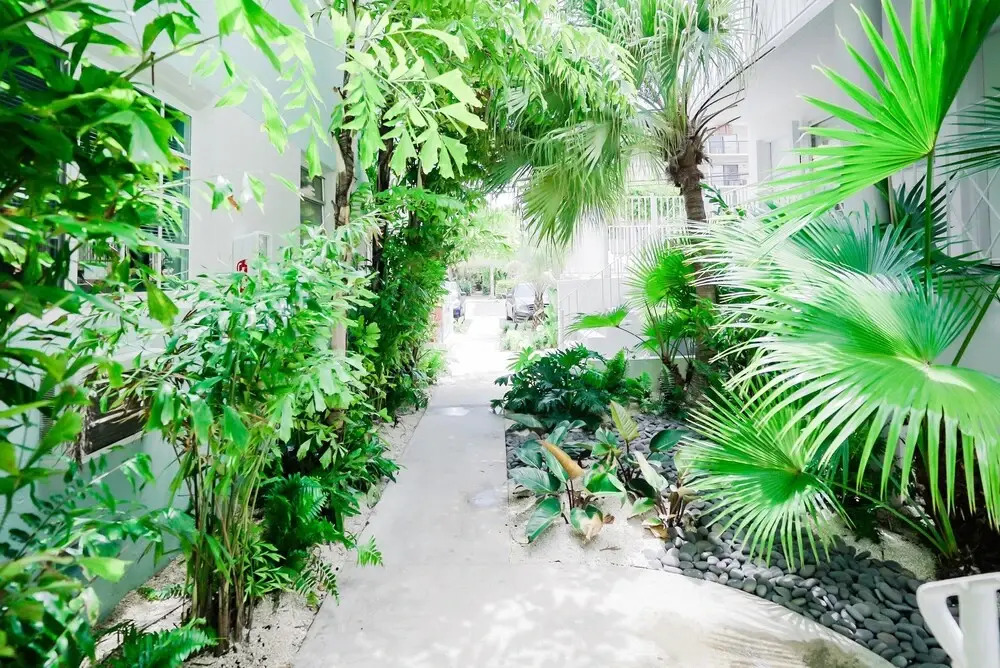 PRAIA Boutique Hotel 6min Miami Beach 25