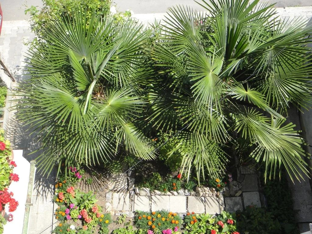 Guest House Eos