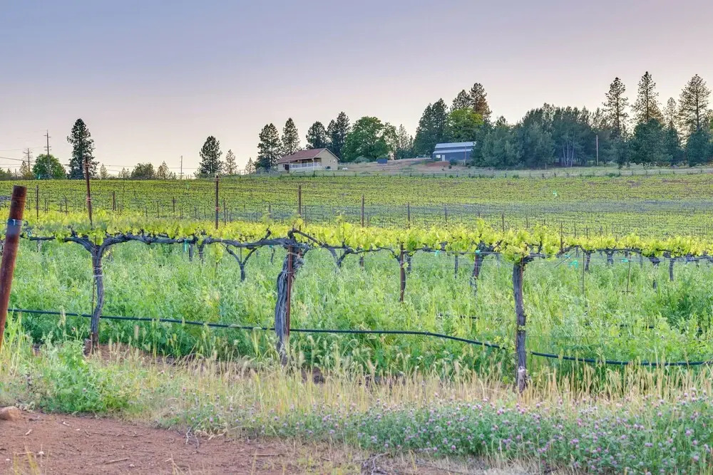 Kelseyville Cottage: Private Deck & On-site Winery