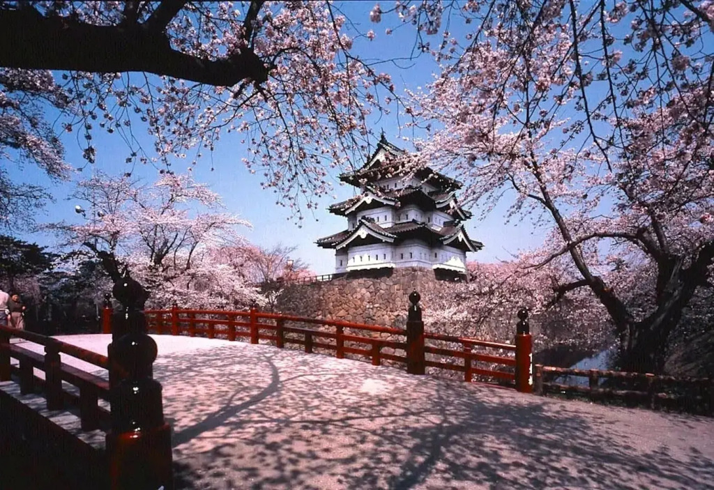 Ferris Chiyoda - Vacation STAY 12564