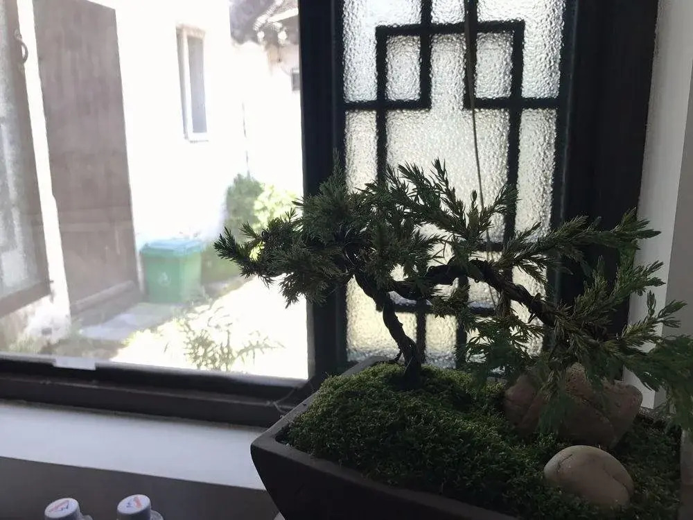 Stone Bamboo Garden Inn