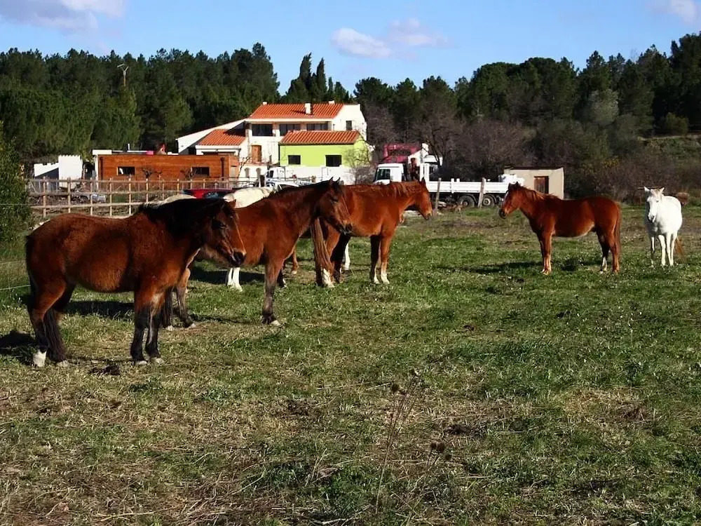Asinerie Kuleni