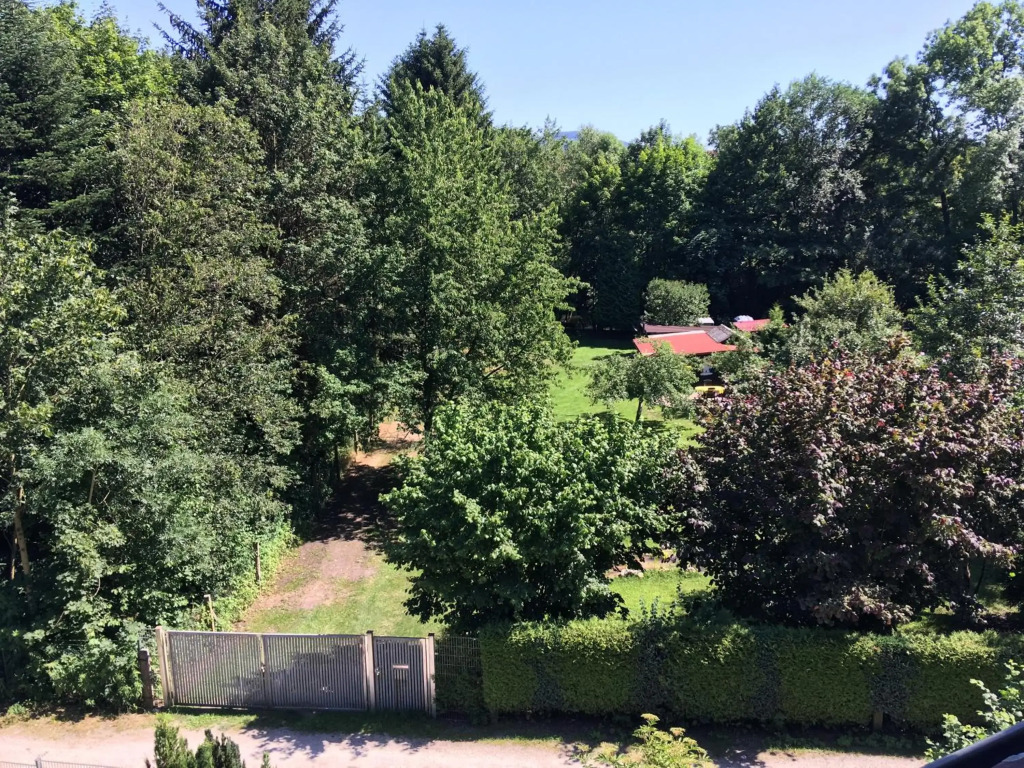 Zentrumsnahe Dachwohnung in grüner Oase