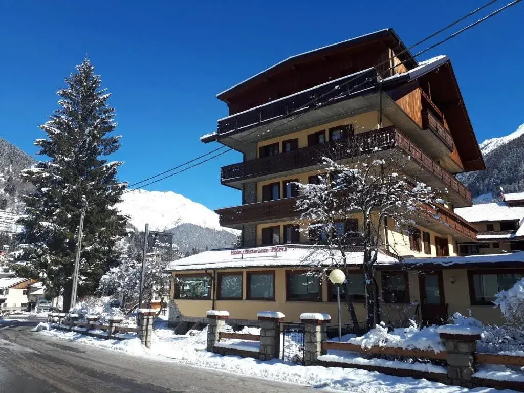 Hotel Pineta