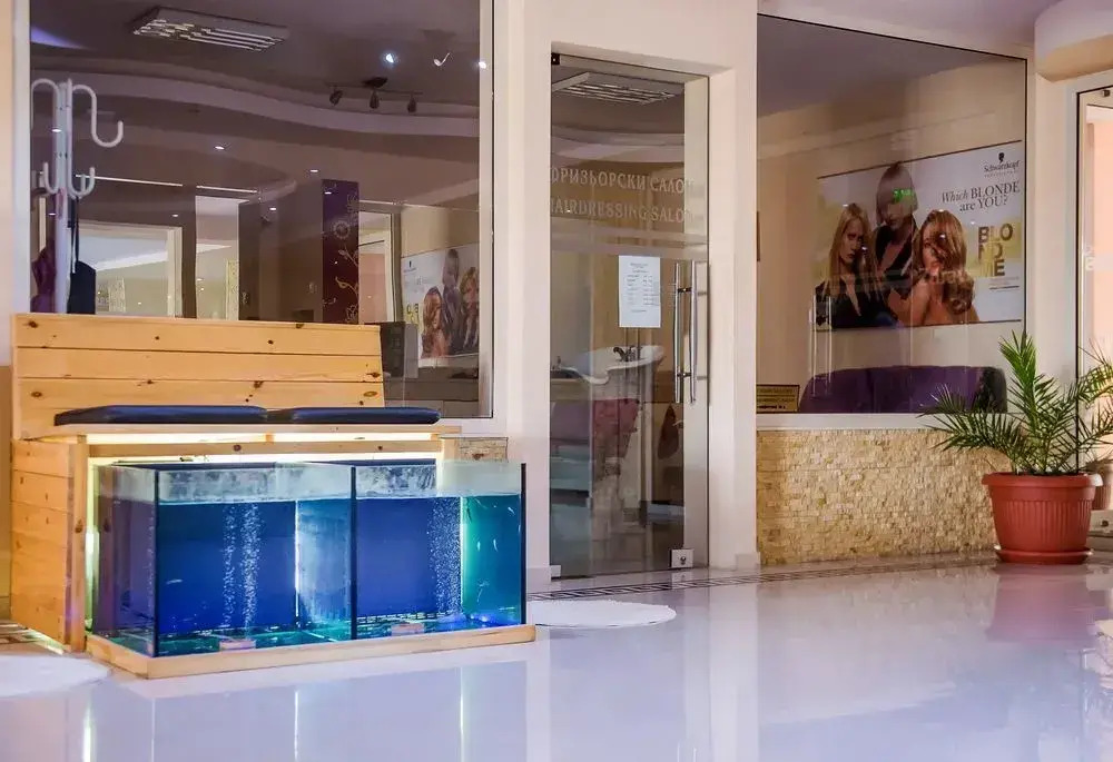 Zdravets SPA Hotel