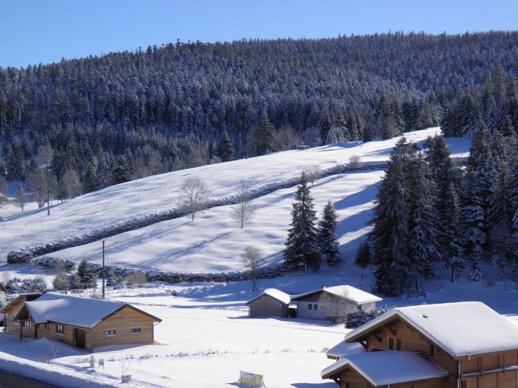 Chalet rénové proche du Valtin - Idéal pour famille, randonnées et ski, Wifi, luges fournies - FR-1-589-150