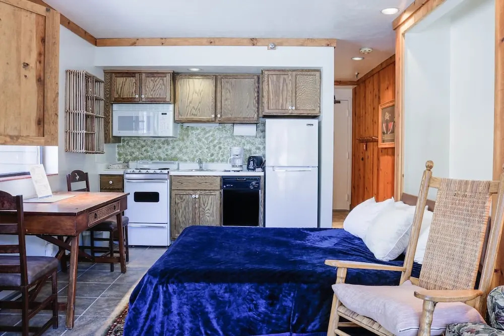 Ski Lodge Studio Studio Bedroom Condo by RedAwning