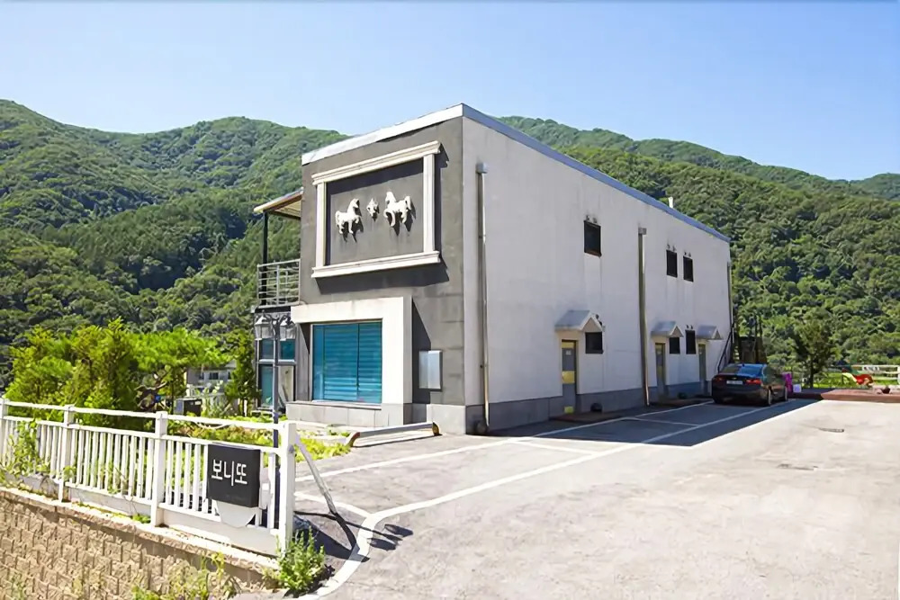 Gapyeong Bonito Pension