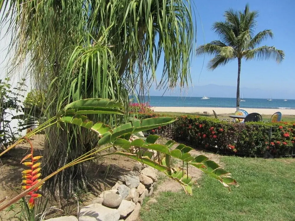 Casa Dos Dolphins 2 Bedrooms 2 Bathrooms Villa