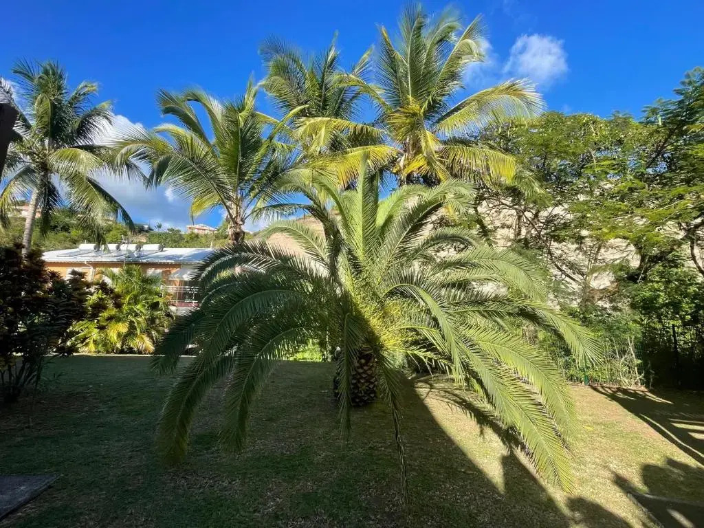 Studio Spacieux Vue Mer Au Diamant Avec Piscine