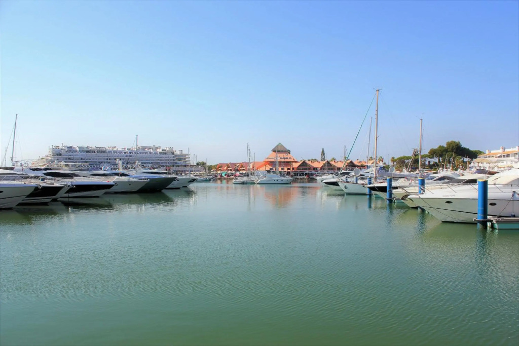 Vilamoura Dolphin Studio
