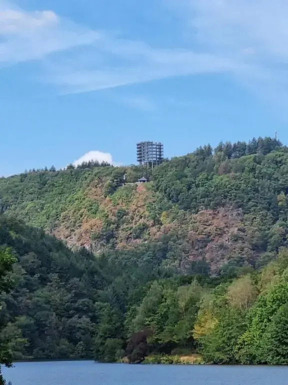 Komfort Ferienwohnung Vakantiewoning nähe Bosenbergklinik
