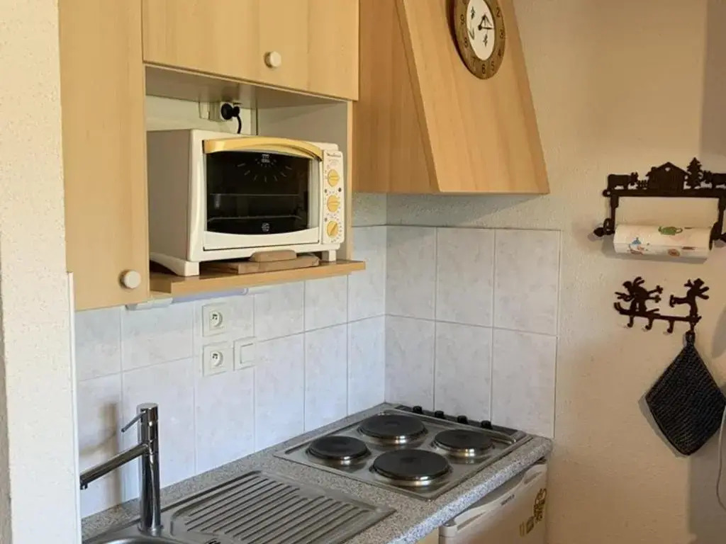 Appartement Saint-Jean-d'Aulps, 2 pièces, 5 personnes - FR-1-573-60