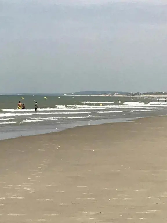 Logement cocooning 50 m de la plage