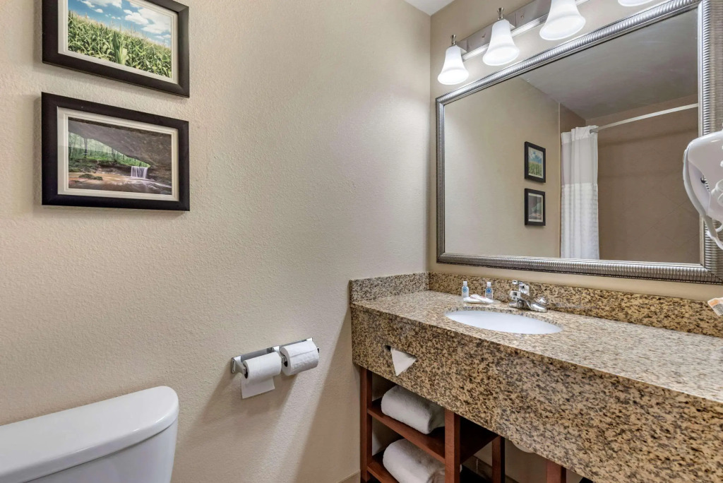 Comfort Inn & Suites Muncie Near University
