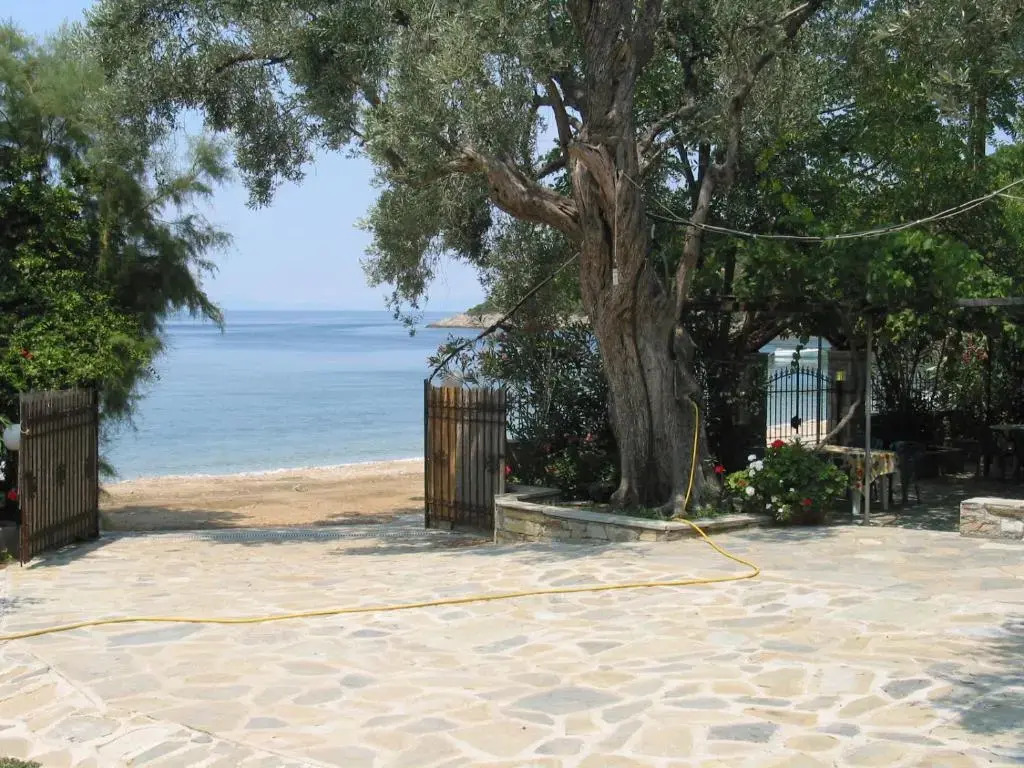 Niki House