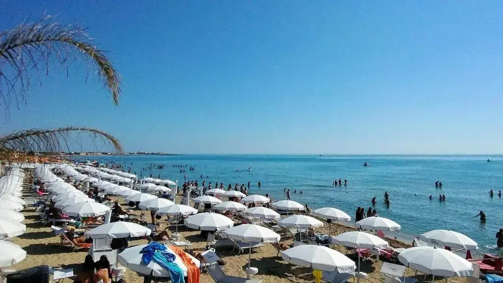 Le Margherite