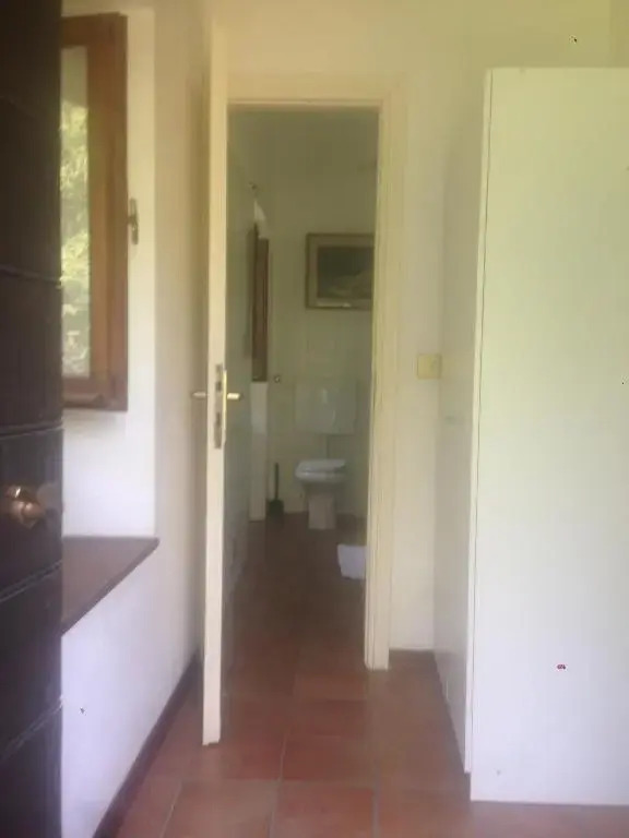 Colico Verde