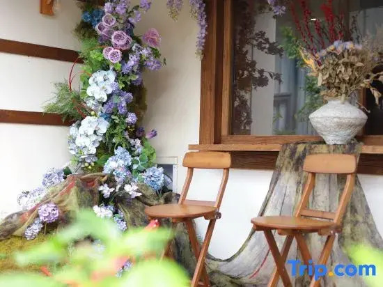 Under the Camphor Tree Guesthouse