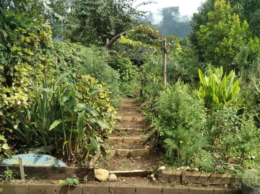 Sitio Alecrim Casa de Cura e Hospedagem